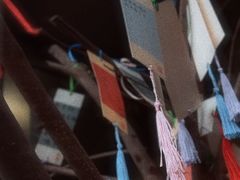 -吉林大学前卫校区南区-日新楼