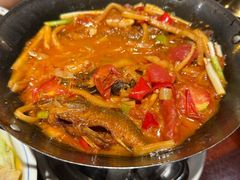 -金龙寨(解西店)