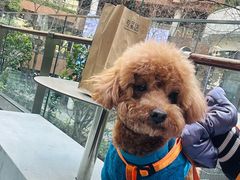 -瑞虹新天地月亮湾