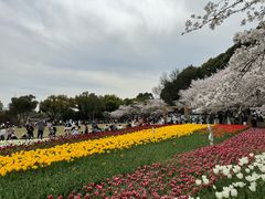 -苏州上方山国家森林公园