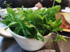 -小天鹅火锅·一线江景洪鼎旗舰店(洪崖洞店)