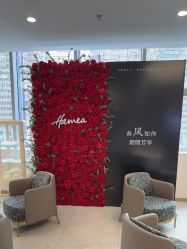 -禾美嘉医疗美容