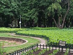 -黑龙江省森林植物园