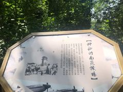 -北京麋鹿生态实验中心