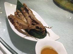 -宝燕壹号(徐汇店)