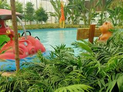 -南宫五洲植物乐园