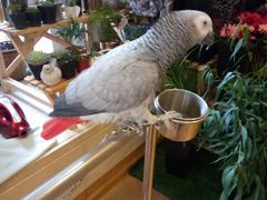 -森野花艺培训·企业团建活动沙龙