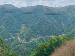 -四明山国家森林公园