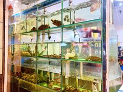 -凯华海鲜火锅·传承三十六年