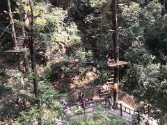 -衢州大荫山丛林飞越探险乐园