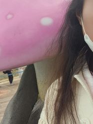 -镁连社·美联社