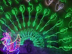 -海盗传奇水世界