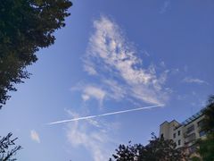 -上海康怡口腔门诊部Alpha Dental