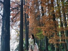 -东湖落雁景区