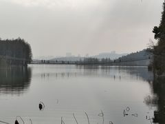 -东湖落雁景区