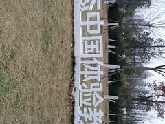 -上海海湾国家森林公园