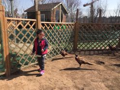 -萌宠亲子动物乐园(槐房万达店)