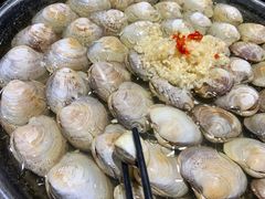 大白贝-水哥卜卜贝(东晓·胜汇里店)