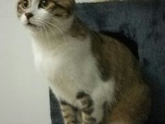 -艾贝尔宠物医院·狂犬免疫点(江山金象城店)