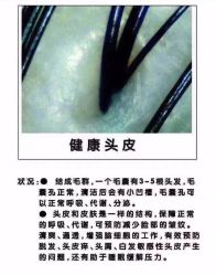 -LJOY丽锦造型·烫发染发