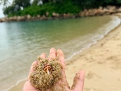-巴拉湾海滩