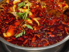 -蛙蛙鸡冷锅鱼(驷马桥店)