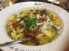 -花溪雨·森林餐厅(石基店)