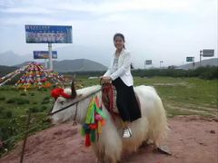 -青海湖国家重点风景名胜区