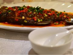 武昌鱼-湖北味道(湖北大厦店)