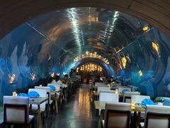 -涛·海底餐厅·美人鱼·自助餐·海底隧道(三亚海棠湾洲际度假酒店)