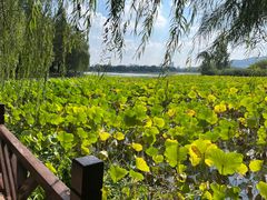 -云龙湖旅游景区