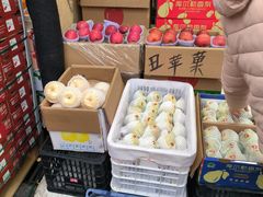 -双福水果批发市场