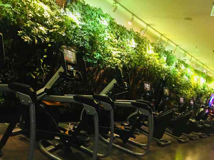 八度空间健身俱乐部-"众所周知,周董开的健身房,大众都知道我懒.