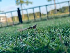 -露天矿生态公园