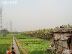 -黄埔古港