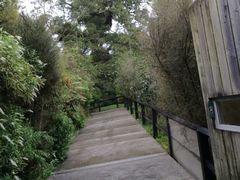 -怀托摩萤火虫洞