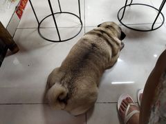 -双冰面馆(茶南店)