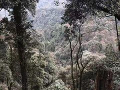-老君山