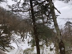 -峨眉山风景名胜区