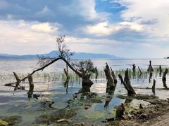 -南诏风情岛