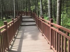 -茅兰沟国家森林公园