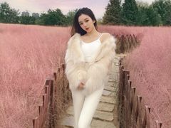 -羊亭河湿地公园