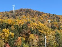 -山城正宗集安高丽火盆