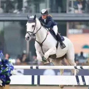 成都私宴上门服务｜第八届迪拜马术国际杯赛