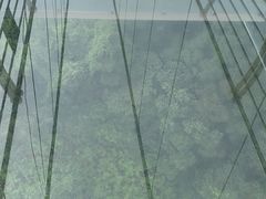 -南丹山森林王国