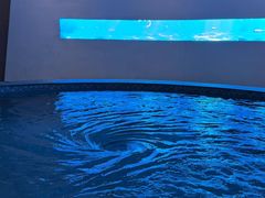 -涨巢·潮玩水疗局