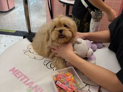 -FAELING PETS美天灵宠物(合生汇店)