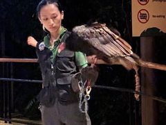 -夜间野生动物园