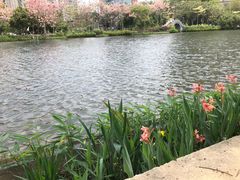 -四海公园(南山区)