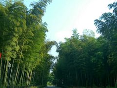 -天目湖山水园